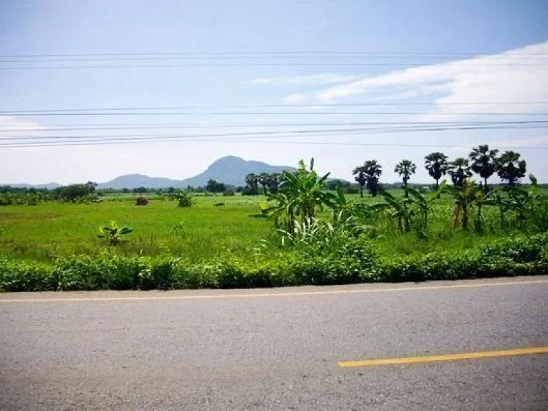 ที่ดิน35ไร่โฉนดติดทางหลวงหน้ากว้าง150เมตรมีเพื่อนบ้านไฟฟ้าประปาพร้อม