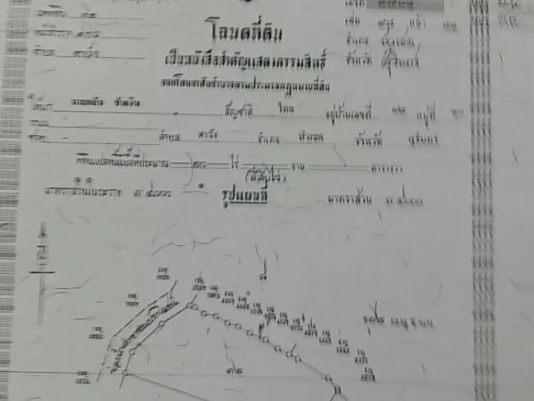 ขายที่นา 20 ไร่