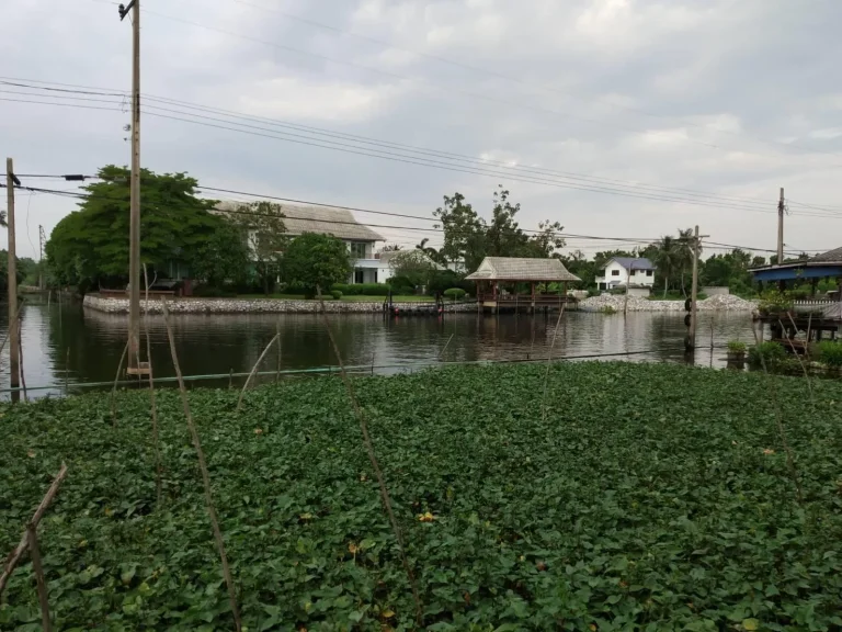 ขายที่ดิน ติดแม่น้ำเจ้าพระยา