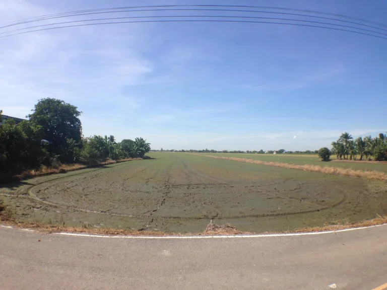 ขายที่ดิน 14 ไร่ 3 งาน ติดถนน คลองสี่ คลองหลวง เจ้าของขายเอง ปทุมธานี