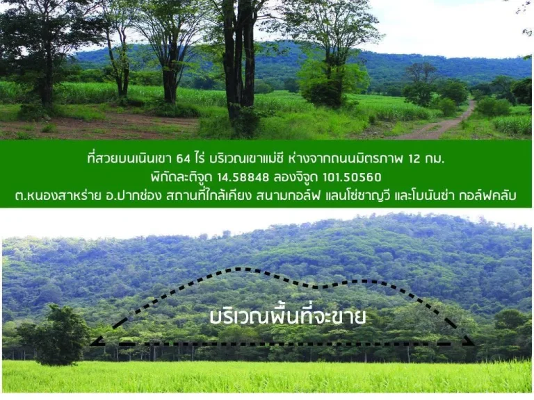 ขายที่ดินปากช่อง