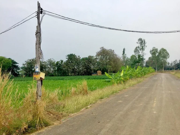 ขายที่ดิน 8 ไร่โฉนดหน้ากว้างติดถนนลาดยางประมาณ 130 เมตร