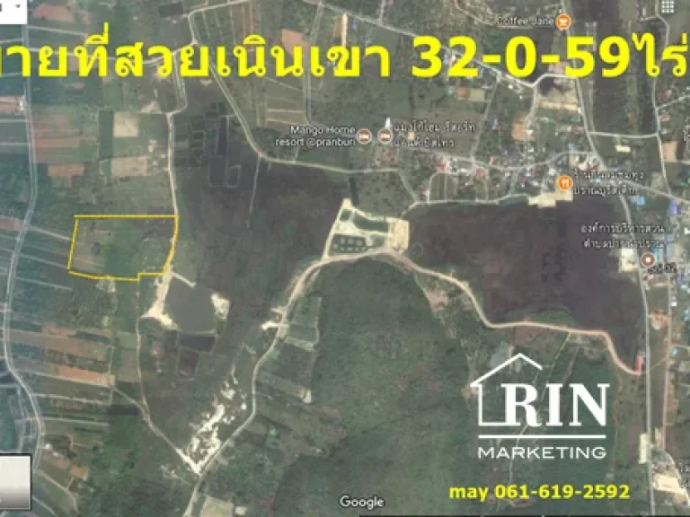 ขายที่ดินเปล่า 32-0- 59ไร่ ผืนสวยไร่สับประรสเนินเขา ปราณบุรี 061-619- 2592 เมย์