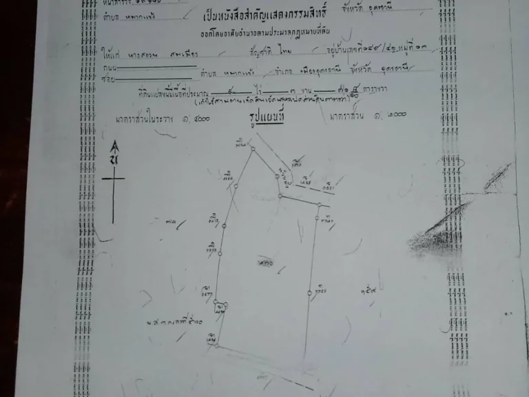 ขายด่วนที่ดินเปล่า9ไร่อยู่เยื้องไทวัสดุอุดรธานี