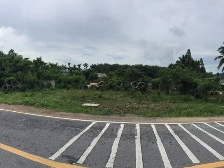 ขายที่ดิน ติดหลังสถานีตำรวจภูธรลานสกา ทำเลทอง