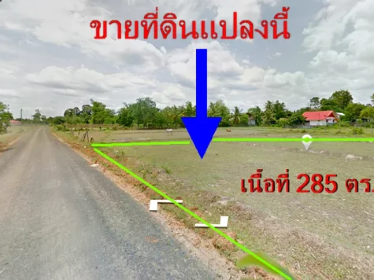 PK ขายถูกที่ดินเหมาะสร้างบ้าน ใกล้ โรงเรียนปทุมพิทยาคม จอุบลราชธานี