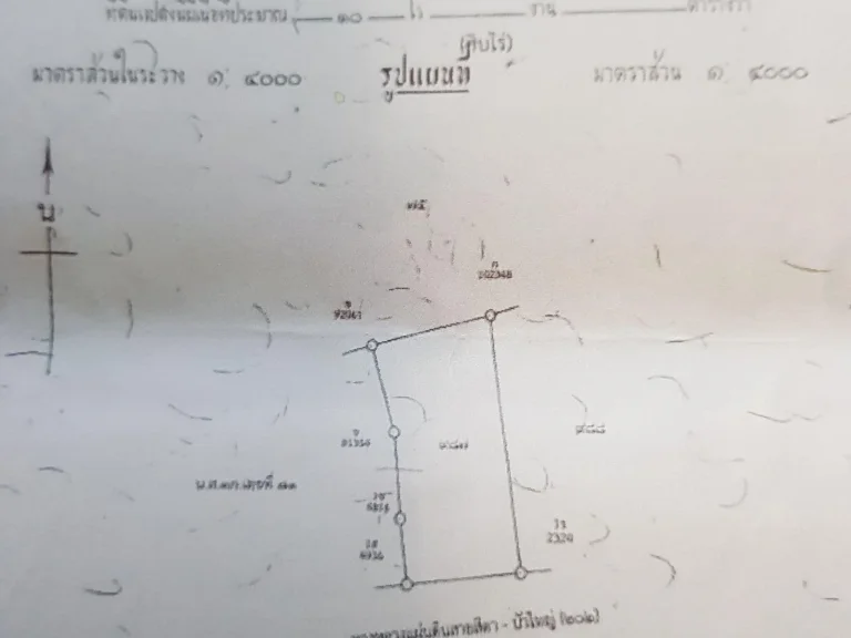 โคราช-สีดาติดทางหลวงสีดา-บัวใหญ่202ขายด่วนที่ดิน 10 ไร่