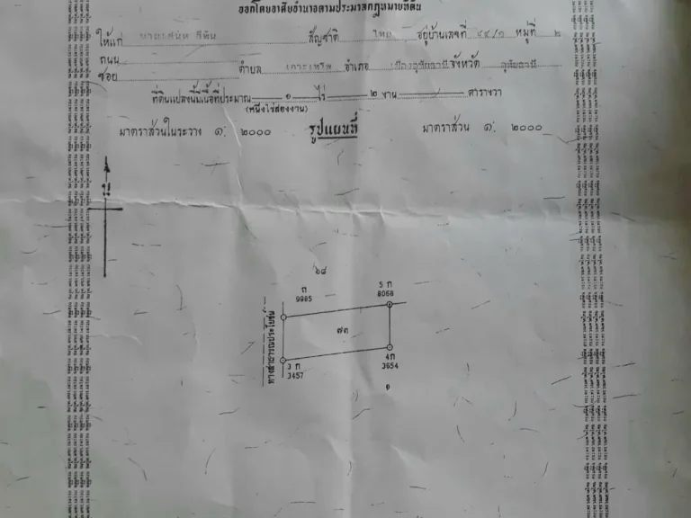 ขายที่ดินเกาะเทโพราคาถูก