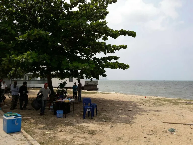 ที่ดินติดทะเลหาดส่วนตัว75ตรวเดินลงหาดได้เลยซบางละมุง16ขาย10ลพร้อมโอน