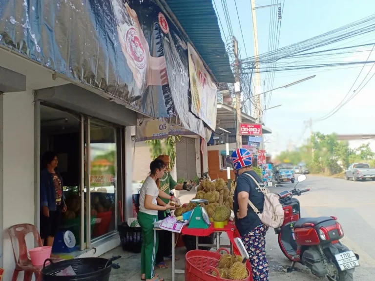 ขายที่ดินพร้อมสิ่งปลูกสร้าง ติดถนนช้างคลาน