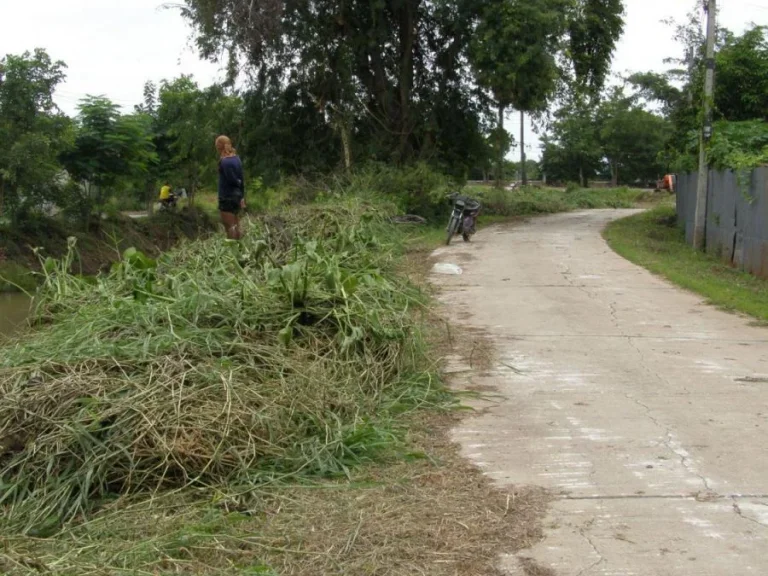 ขายสวนใจกลางเมือง สุพรรณบุรี คลองน้ำเชี่ยว 200 ตรว ถูกมาก