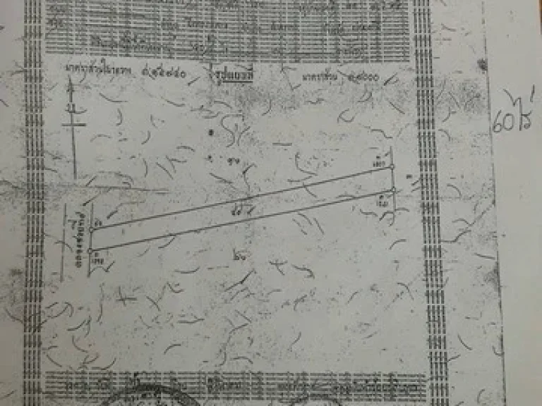 ขายที่ดินเนื้อที่รวมทั้งหมด 93 ไร่ ถนนลำลูกกาคลอง 9 ลำลูกกา ปทุมธานี ไร่ละ 1 ล้าน