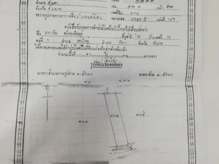 ขายที่ดินแปลงสวย ปลูกต้นไม้เศรษฐกิจ