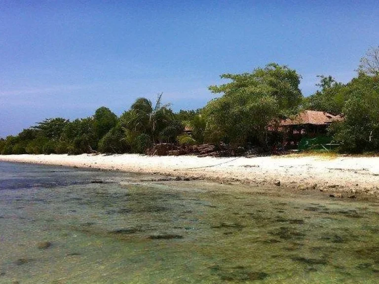 ขายที่ดินพร้อมท่าเรือบนเกาะส่วนตัวมัดสุม เกาะสมุย สุราษฎร์ธานี STUNNING PRIVATE ISLAND OFF KO SAMUI WITH FRESH WATER LAKE AT AN INCREDIBLE PRICE