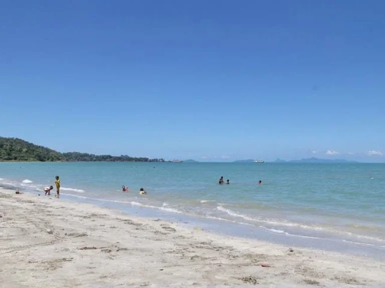 ขายที่ดินเปล่าราคาถูกติดทะเล หาดสลัด เกาะพงัน สุราษฎร์ธานี