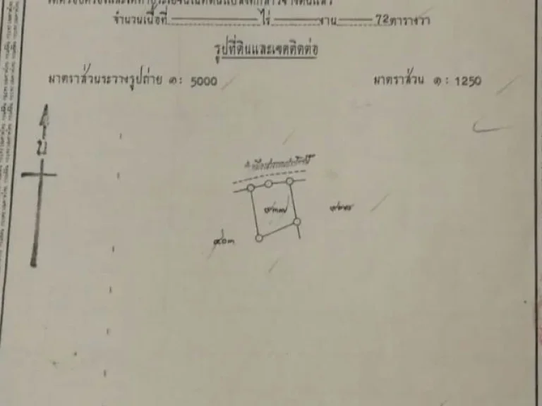 ขายที่ดินห่างตลาดแม่ริม 600 เมตร