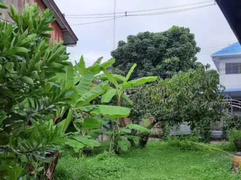 ขายที่ดินพร้อมบ้านเก่า คูเมือง ไกล้ถนนคนเดิน