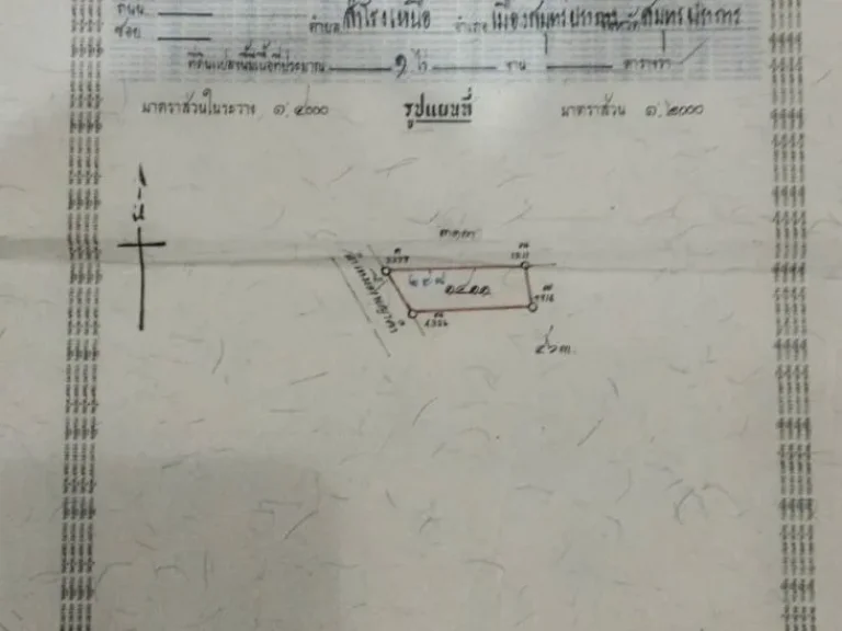 ขายที่ดินดอนจืนซอย 10 ติดถนนซอย