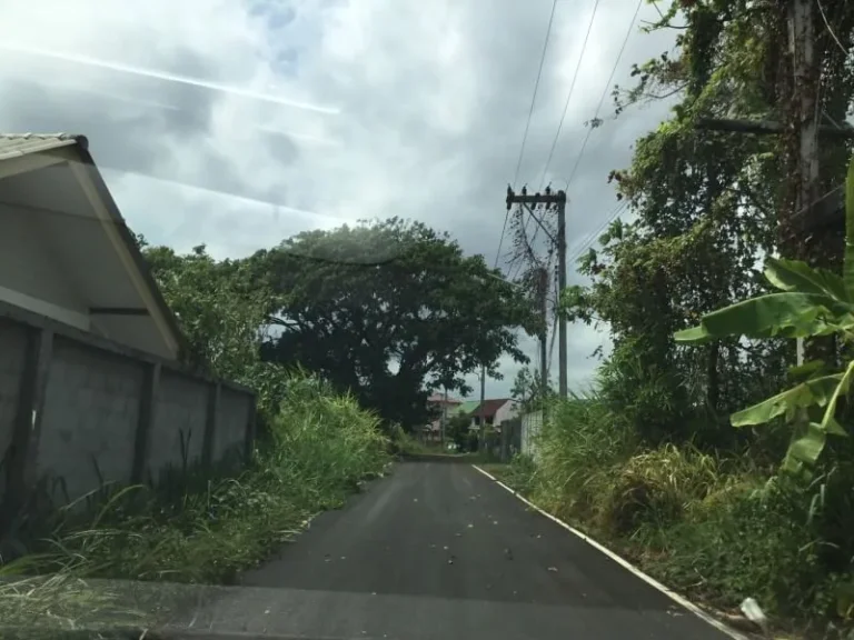 ขายที่ดินข้างโรงเรียนสารสารท์ แม่เหียะ ติดถนนคอนกรีต