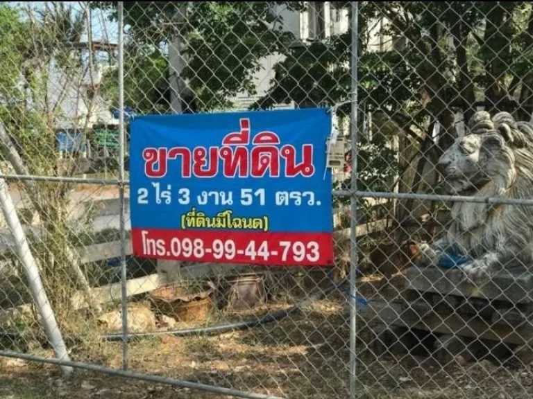 ขายที่ดิน มีโฉนด มีรั่วล้อมรอบ พร้อมออฟฟิศ ไม่รวมต้นไม้