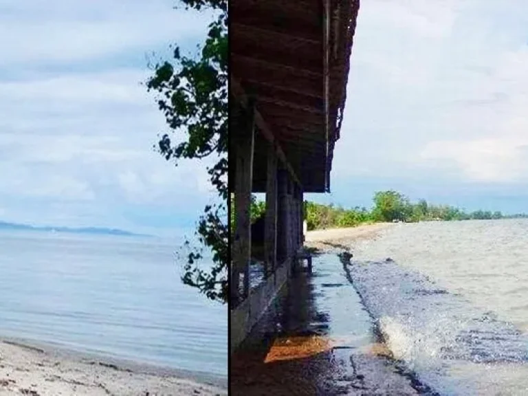 ขายที่ดินติดทะเล หาดส่วนตัวกว้าง 200 เมตร