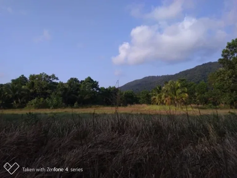 KOH CHANG PARADISE AT AN INCREDIBLE PRICE ขายที่ดินเปล่าติดทะเลราคาถูกบนเกาะช้าง จังหวัดตราด เอกสารสิทธิ์โฉนด