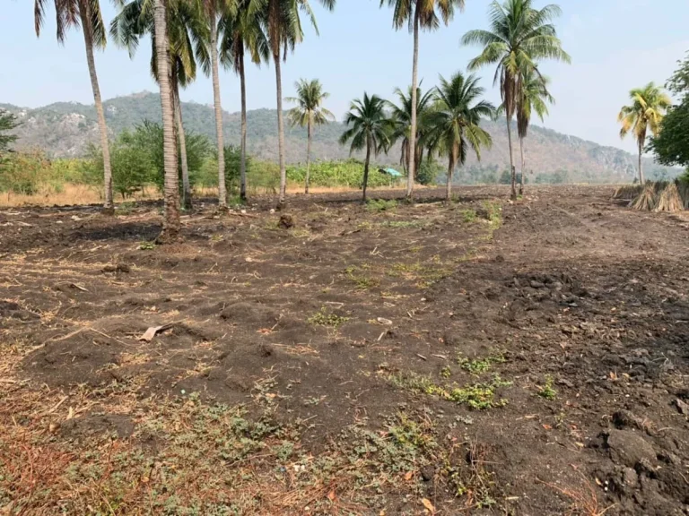 ขายที่ดินแก่งคอย สระบุรี 30 ไร่ ติดถนน ติดเชิงเขา