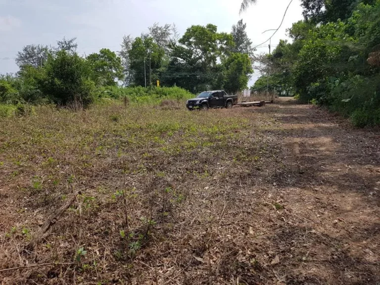 ขายที่ดิน ตชุมโค อประทิว จชุมพร