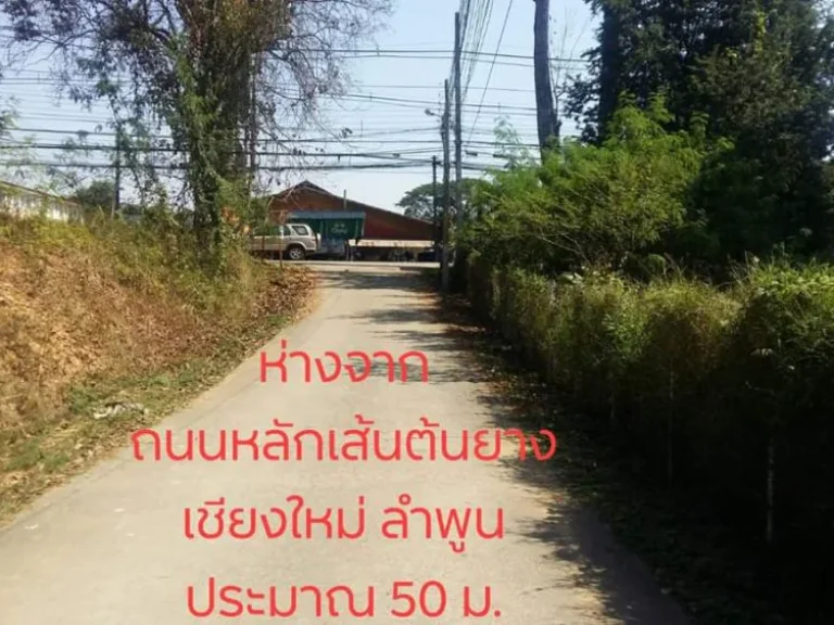 ขายที่ดินยางเนิ้ง ห่างตลาด 70 เมตร ราคาถูก