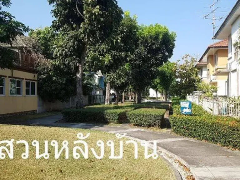 FOR Sale ampamp Rent ขาย หรือ ให้เช่า พร้อมเข้าอยู่