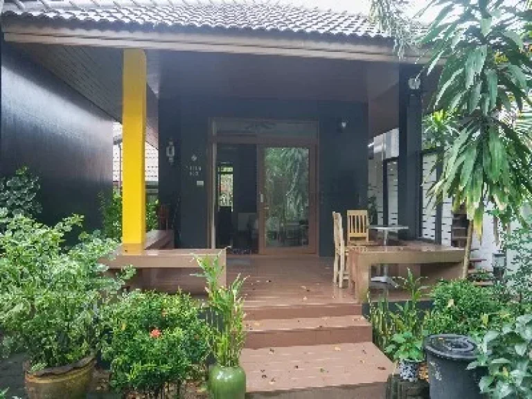 Selling business rental Villa house and Hostel in KOh Samui