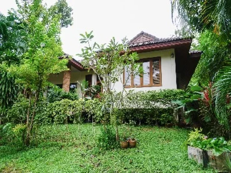 Selling business rental Villa house and Hostel in KOh Samui