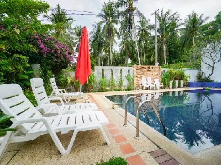 Selling business rental Villa house and Hostel in KOh Samui