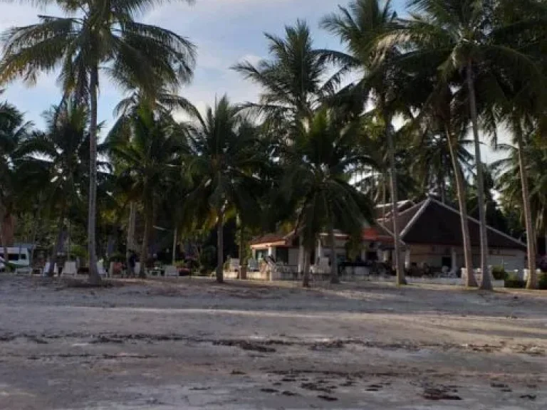 ขายที่ดินชายหาดงดงามน้ำทะเลใส จชุมพร เป็นโฉนด 18 ไร่ 3 งาน 85 ตรว