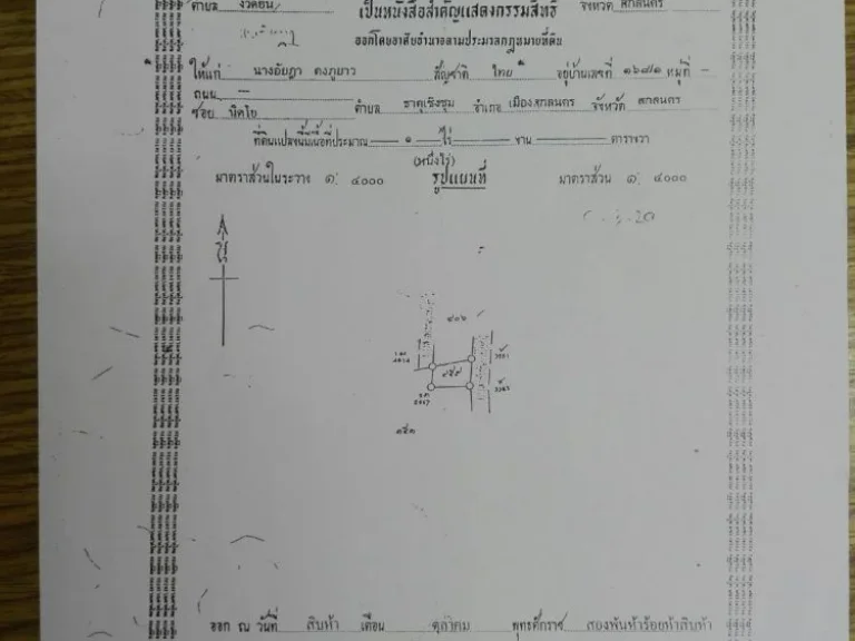 ขายที่ดิน แปลงนา 1 แปลง ขนาด 1 ไร่