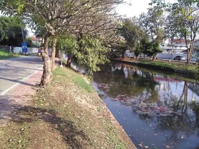 ขายที่ดิน โฉนด พิษณุโลก ที่ดินสวย ติดหมู่บ้านหรรษนันท์ ถนนพระลือ