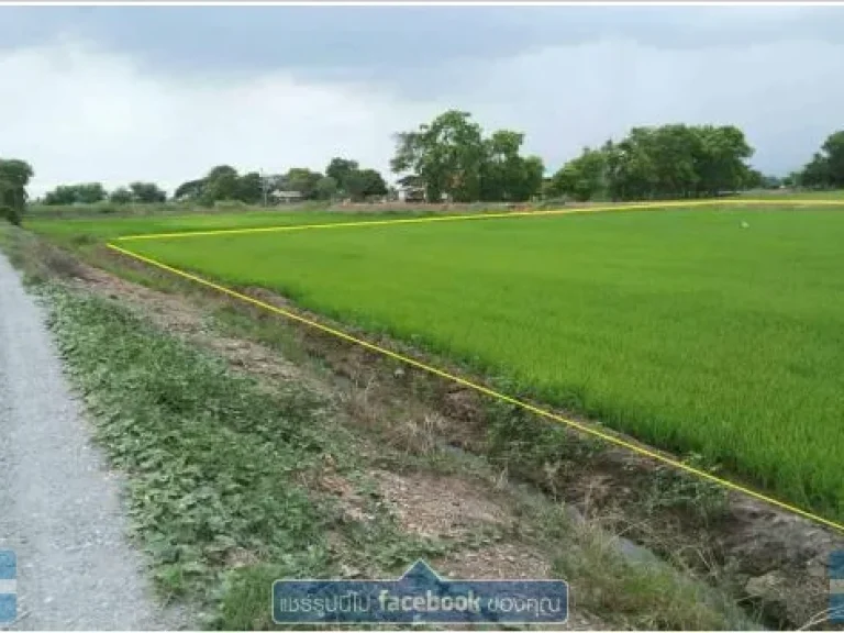 ด่วน ขายที่ดิน 11 ไร่ ใกล้ถนน อำเภอบางซ้าย จังหวัดพระนครศรีอยุธยา