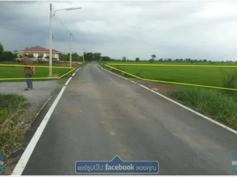 ด่วน ขายที่ดิน 11 ไร่ ใกล้ถนน อำเภอบางซ้าย จังหวัดพระนครศรีอยุธยา