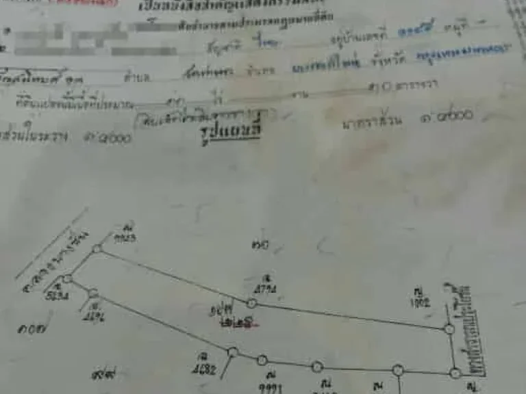 ขายที่ดิน 11ไร่ ใกล้ถนน อำเภอบางซ้าย จังหวัดพระนครศรีอยุธยา