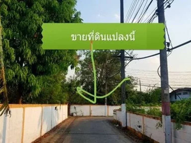 ทีดินเปล่า ตในเมือง อเมืองร้อยเอ็ด จร้อยเอ็ด 3798 ตรว