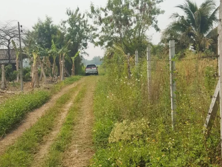 ขายที่ดินน้ำแพร่ บรรยากาศดี ราคาถูก