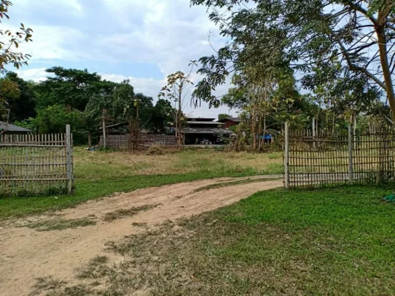 ขายที่ดินพร้อมบ้านเก่า แม่ปูคา