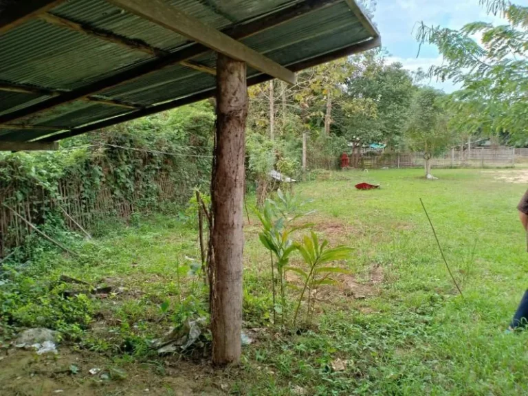 ขายที่ดินพร้อมบ้านเก่า แม่ปูคา