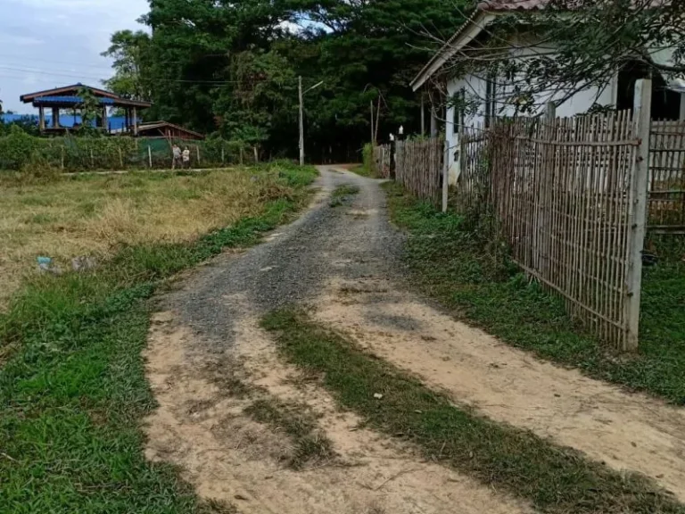 ขายที่ดินพร้อมบ้านเก่า แม่ปูคา