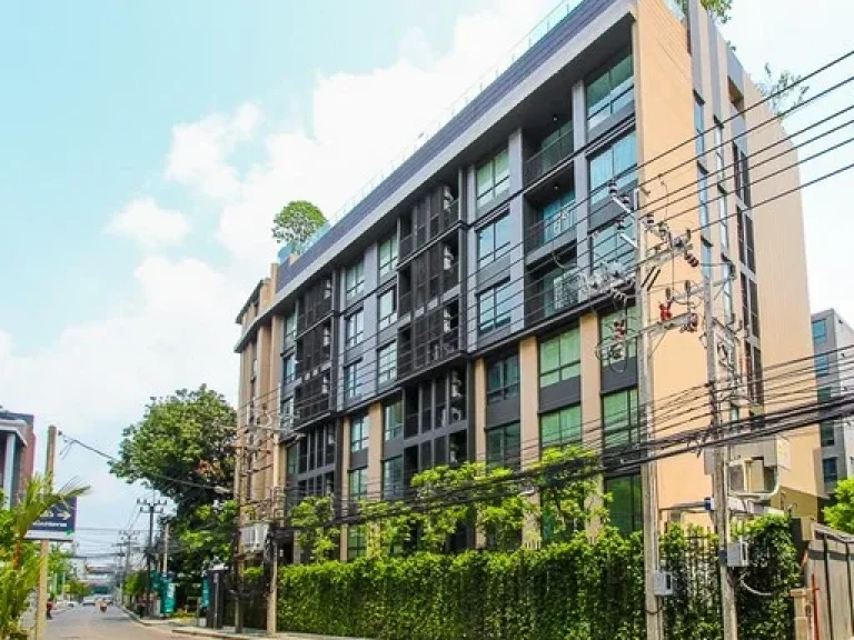 ให้เช่าคอนโดใหม่ 1ห้องนอน ใกล้ รถไฟฟ้า BTS ปุณณวิถี ที่ The Tree สุขุมวิท64