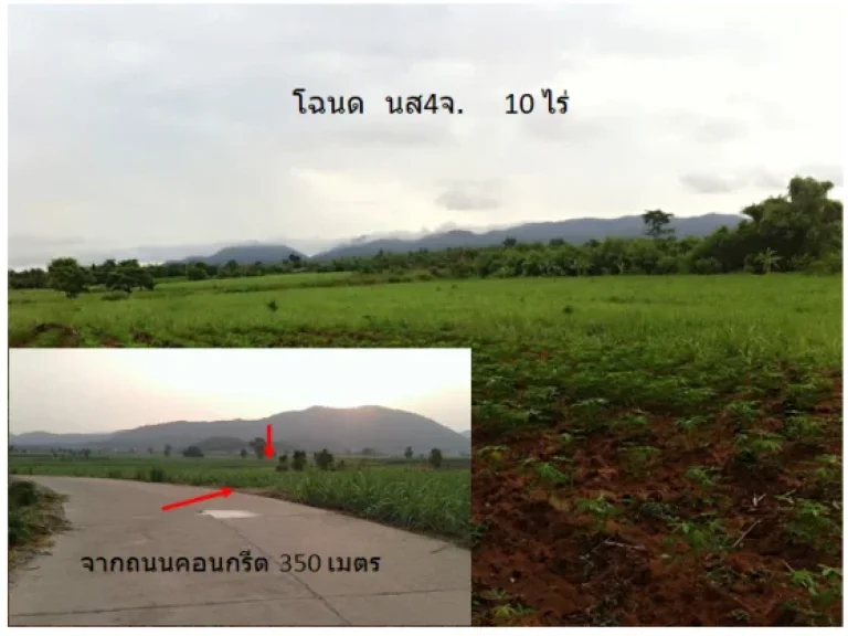 ที่ดินโฉนดแบ่งขาย 10ไร่ 125000บาทไร่