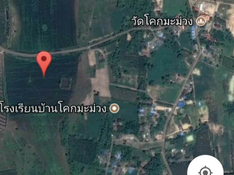 ที่ดิน 42 ไร่ ติดถนนดำ หน้ากว้าง 300 เมตร