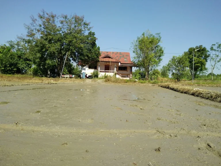 ขายที่ดินใกล้โรงเรียนฉือจี้เชียงใหม่ พร้อมบ้านหลังโต