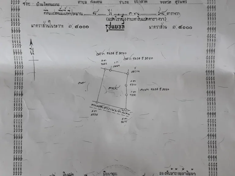 ขายที่นา 8 ไร่ เจ้าของขายเองค่ะ