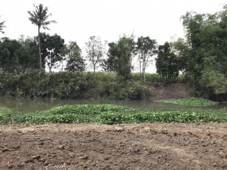 ที่ติดคลองระบายน้ำสุพรรณสาย2 ติดถนน2ด้าน